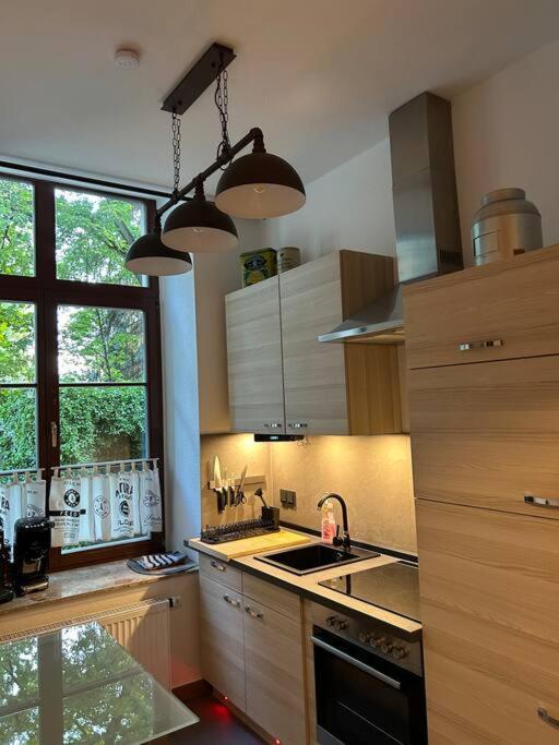 Ruhige Wohnung Im Fabrikstil In Chemnitz Esterno foto